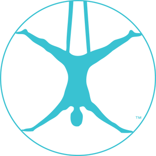 200 Hour YTT Hybrid - Includes AIReal certification