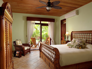 Birds of Paradise Room