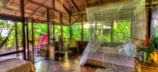 🐒 Casitas — Elevated in the Canopy, Immersed in the Wild
