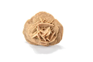 Desert Rose - Enhance Your Dreams