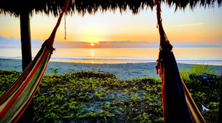 🌴 Club Room — Elegance at the Edge of the Wild