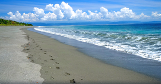 🌴 Club Room — Elegance at the Edge of the Wild