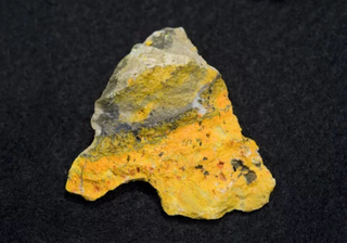 Bumble Bee Jasper - Life Talisman