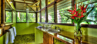 🐒 Casitas — Elevated in the Canopy, Immersed in the Wild