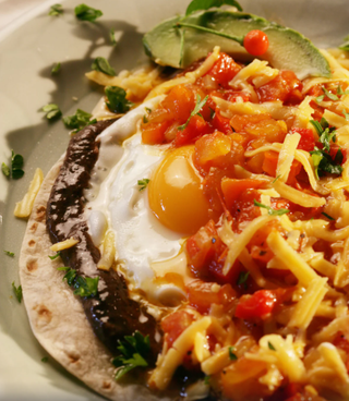 🌴 Club Room — Elegance at the Edge of the Wild