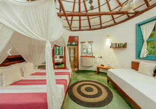 🌺 Superior Studio Room — A Garden Sanctuary for the Soul